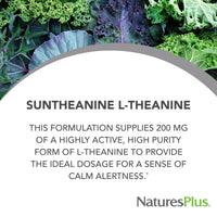 Thumbnail for NaturesPlus PRO Suntheanine L-Theanine - 60 Capsules - Supports Calm Alertness, Healthy Relaxation & Improved Rest - Non-GMO, Vegan & Gluten Free - 60 Servings