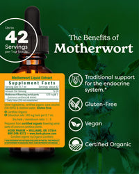 Thumbnail for Herb Pharm Certified Organic Motherwort Liquid Extract for Endocrine System Support - 1 Ounce