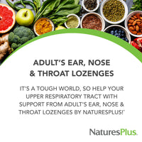 Thumbnail for NaturesPlus Adult's Ear Nose Throat Lozenges with K12 Probiotics - 60 Lozenges - Natural Tropical Cherry Berry Flavor - Immune Function & Upper Respiratory Support - Gluten Free - 30 Servings