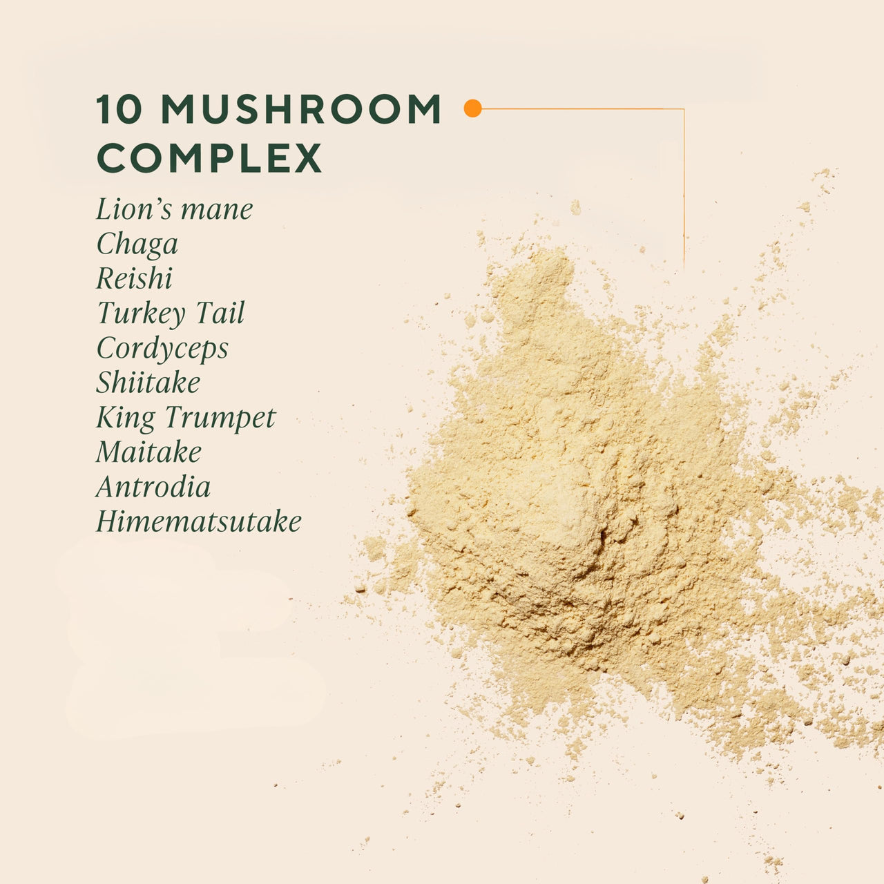 OM MUSHROOM SUPERFOOD Master Blend Vegan Protein â€“ Creamy Vanilla Plant Protein with 10 Mushrooms, Ashwagandha, BCAAs & B12 â€“ Energy, Recovery & Immune Support â€“ 1.2 lb (16 Servings)
