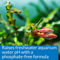 Thumbnail for API pH UP Freshwater Aquarium Water pH Raising Solution 16-Ounce Bottle