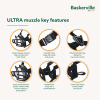 Thumbnail for Baskerville ULTRA Muzzle - Patented Humane Design, Breathable, Dog can Pant and Drink, Adjustable, Padded, Dog Training Muzzle for Small Dogs, Prevents Biting, Wildlife Scavenging (Size 2, Black)
