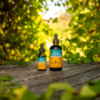 Thumbnail for Herb Pharm Stinging Nettle Blend Liquid Extract - 4 Ounce