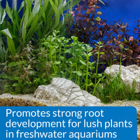 Thumbnail for API ROOT TABS Freshwater Aquarium Plant Fertilizer 0.4-Ounce 10-Count Box