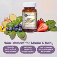 Thumbnail for Garden of Life Organics Prenatal Vitamin: Folate for Energy & Healthy Fetal Development, Non-constipating Iron, Vitamin C, B6, B12, D3 – Organic, Non-GMO, Gluten-Free, Vegan, 30 Day Supply