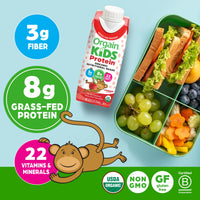 Thumbnail for Orgain Organic Kids Nutritional Protein Shake, Strawberry, Healthy Kids Snacks, 8g Dairy Protein, 3g of Fiber, 22 Vitamins & Minerals, No Soy ingredients, Gluten Free, Non-GMO, 8.25 Fl Oz (Pack of 12)