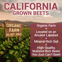 Thumbnail for Dr. Berg Raw Organic Beet Powder from Real Earth-Grown Beets – USDA Certified Organic Beet Root Powder to Support Nitric Oxide Levels, Energy, Blood Flow, & Heart Health* – 30 Servings