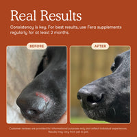 Thumbnail for Fera Pets Probiotics for Dogs & Cats with Prebiotics - USDA Organic - Gut Health Powder Supplement with 12 Strains and 5 Billion CFUs - Supports Immunity, Energy and Skin & Coat - 60 Scoops