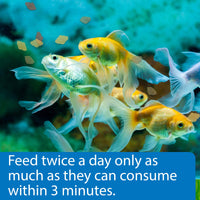 Thumbnail for API GOLDFISH FLAKES Fish Food .36-Ounce Container