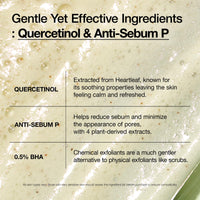 Thumbnail for Anua Heartleaf Quercetinol Pore Deep Cleansing Foam, Face wash for Pore Refining Cleanser, Hydrating Daily Facial Cleanser For Double Cleansing, Gentle Foaming with BHA, Korean Skincare, 5.07 fl.oz.