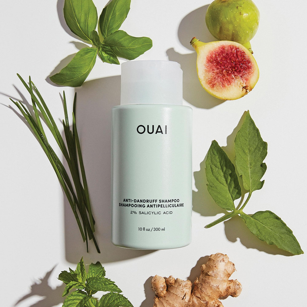 OUAI Anti Dandruff Shampoo - Soothing Salicylic Acid Shampoo for Flaky, Dry and Itchy Scalp - Reduces Itching, Redness and Irritation - Sulfate Free Scalp Care (10 Fl Oz)