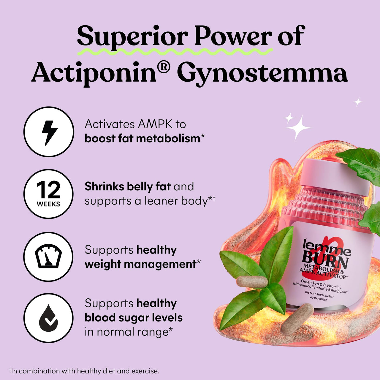 Lemme Burn - Metabolism, Belly Fat Burning + Ampk Activating Supplement For Men & Women W/Clinically Studied Actiponin Gynostemma, Green Tea Extract, Vitamins B6 & B12 - Vegan, Gluten Free, 60 Count