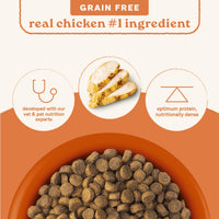 Thumbnail for Canidae All Life Stages Real Chicken & Potato Recipe – High Protein and Grain-Free Premium Dry Dog Food for All Ages, Breeds, and Sizes– 4 lbs.