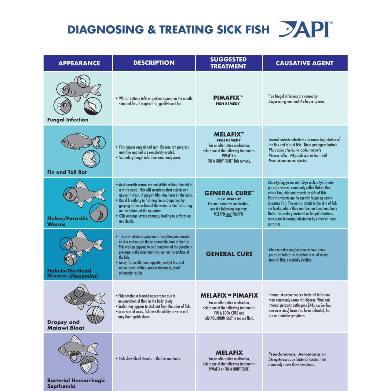 API GENERAL CURE Freshwater and Saltwater Fish Powder Medication 10-Count Box