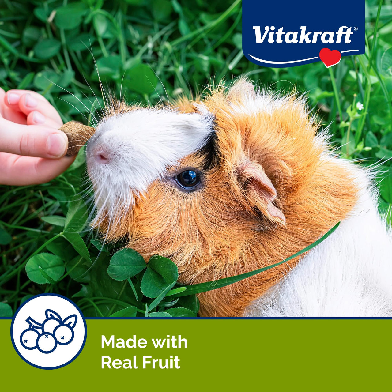 Vitakraft Bursts Small Animal Treat Wildberry Flavor 1.76 oz - Crispy Outside with Soft Berry Center - Fun Reward Snacks for Rabbits Guinea Pigs Hamsters and Other Small Pets