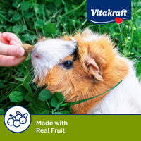 Thumbnail for Vitakraft Bursts Small Animal Treat Wildberry Flavor 1.76 oz - Crispy Outside with Soft Berry Center - Fun Reward Snacks for Rabbits Guinea Pigs Hamsters and Other Small Pets