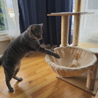 Thumbnail for SPOT Naturals Silver Vine Cat Toy – Natural Interactive Enrichment for Cats, Stimulates Play and Reduces Stress, Durable and Safe, Perfect for Indoor Cats and Kittens, Assorted Styles, 1 Piece