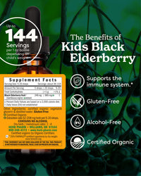 Thumbnail for Herb Pharm Kids Certified-Organic Alcohol-Free Black Elderberry Glycerite Liquid Extract Drops, 1 Oz
