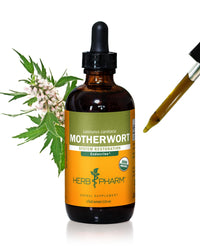 Thumbnail for Herb Pharm Certified Organic Motherwort Liquid Extract for Endocrine System Support - 4 Ounce