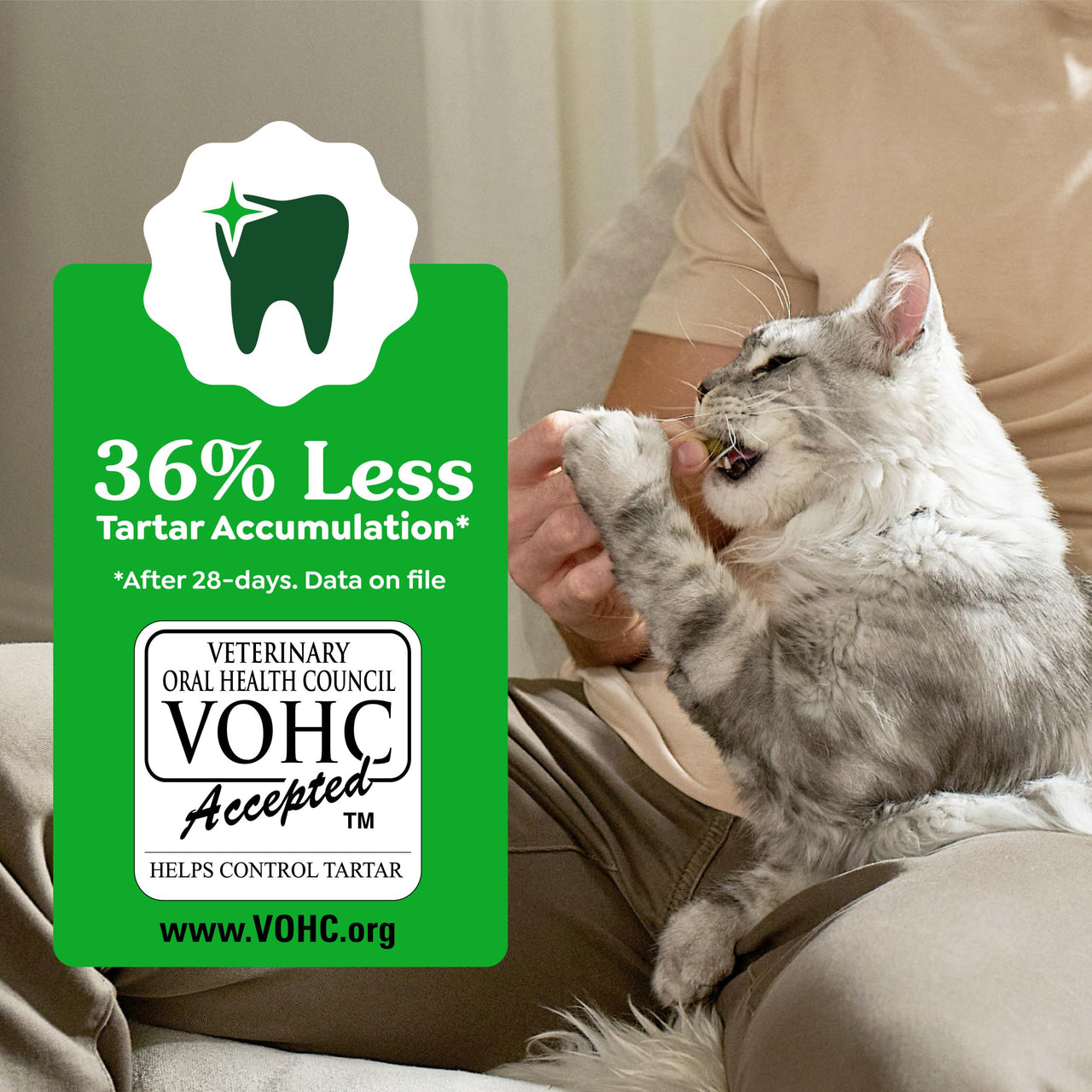 Greenies Cat Treats, Veterinarian-Recommended Adult Natural Dental Cat Treats, Tempting Tuna Flavor, 2.1 oz. Pack