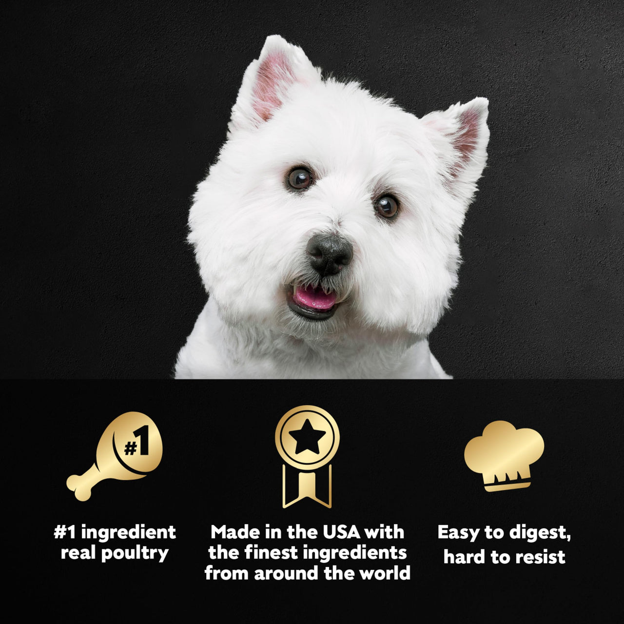 Cesar Wet Dog Food Classic Loaf in Sauce, Duck Recipe, Oven Roasted Chicken Flavor, Grilled Chicken Flavor, and Turkey Flavor, 3.5 oz. Easy Peel Trays, Variety Pack, 24 Count