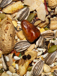 Thumbnail for Volkman Avian Science Super Parrot Bird Food 4 lb