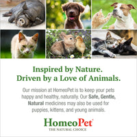 Thumbnail for HomeoPet Joint Stress, Joint Support for Dogs and Cats, Liquid Pet Meds to Support Healthy Joint Movement, 15 Milliliters