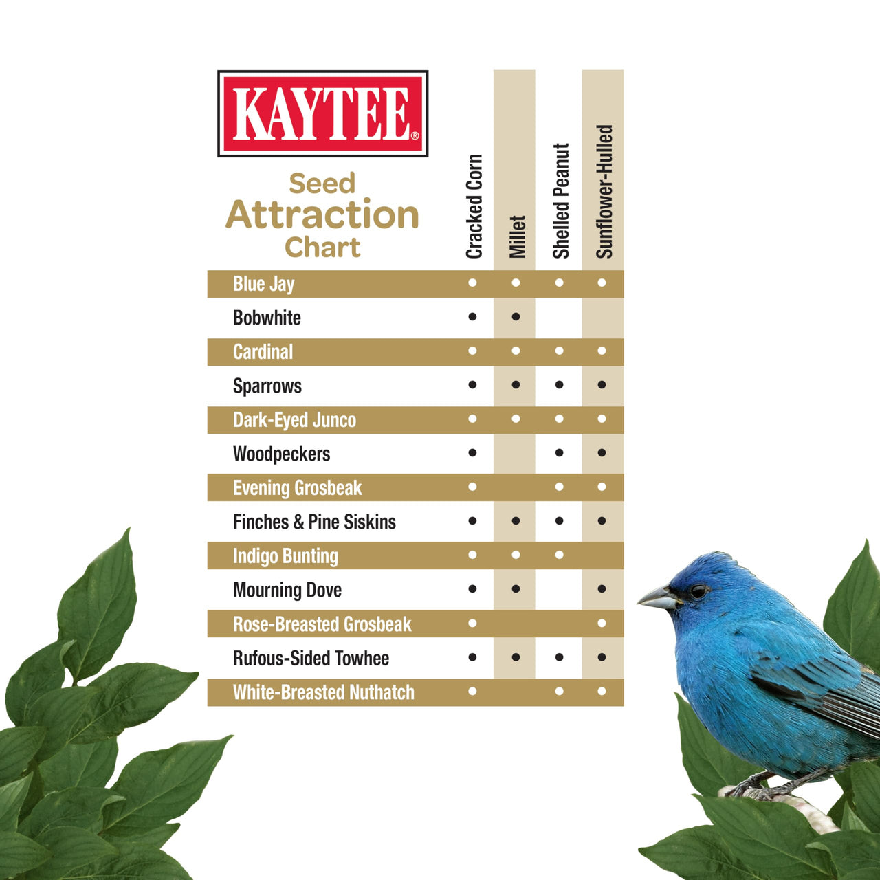 Kaytee Wild Bird No Mess Food Seed Blend For Blue Jays, Woodpeckers, Juncos, Cardinals, Grosbeaks, Sparrows, and Finches, 5 Pound