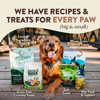 Thumbnail for Earthborn Holistic Primitive Natural Turkey Meal & Vegetables Grain-Free Dry Dog Food 4 lb