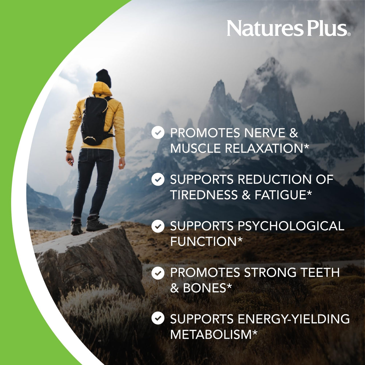 NaturesPlus KalmAssure Magnesium Chewable, Orange - 60 Tablets - Promotes Relaxation & Mental Alertness - Non-GMO, Sugar Free & Gluten Free - 60 Servings