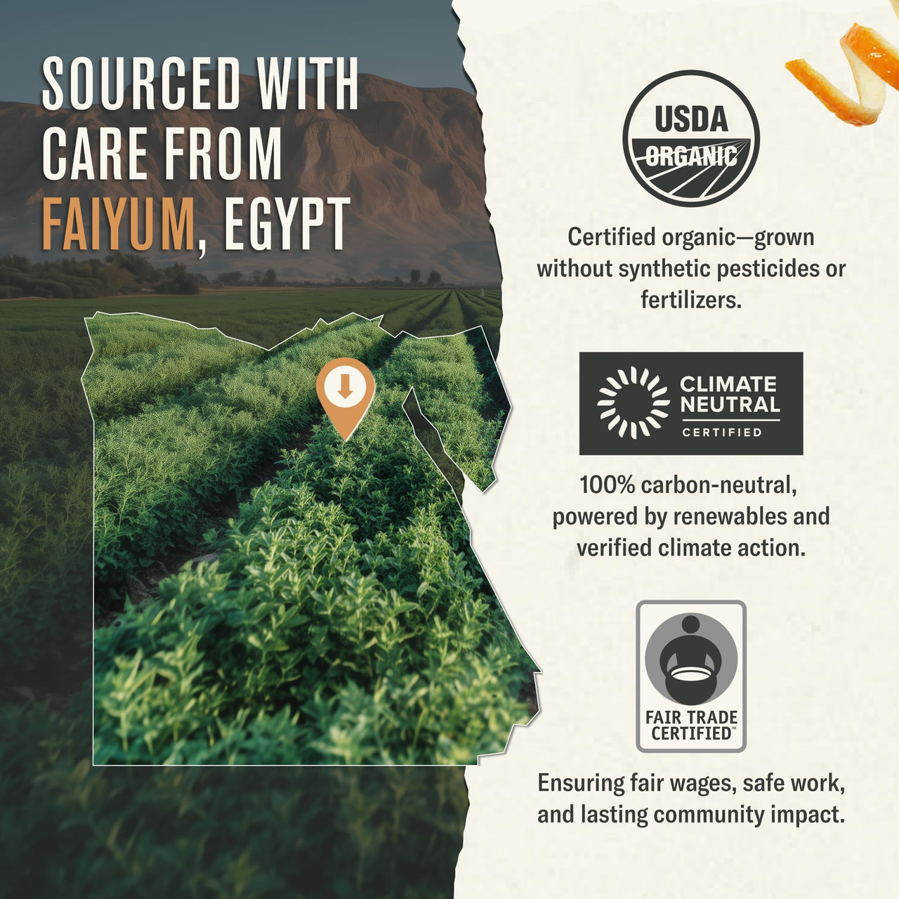 Numi Tea Organic Moroccan Mint Tea, 18 Herbal Tea Bags, Caffeine Free