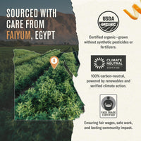 Thumbnail for Numi Tea Organic Moroccan Mint Tea, 18 Herbal Tea Bags, Caffeine Free