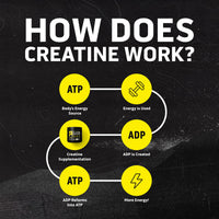 Thumbnail for Ascent Clean Creatine Monohydrate Powder - 5G Per Serving, Creapure Supplement - Unflavored, 45 Servings