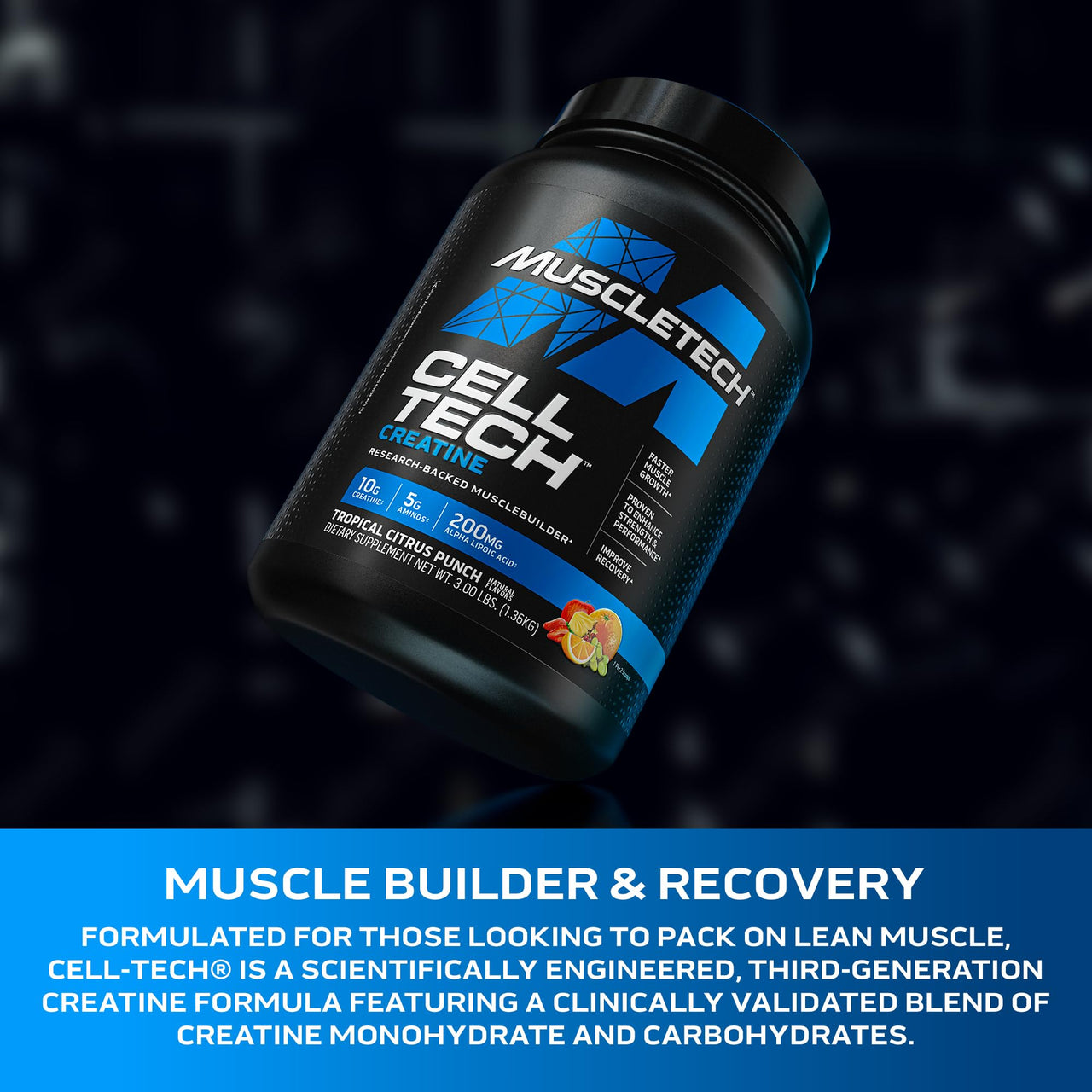MuscleTech Creatine Monohydrate Powder Cell-Tech Creatine Powder Post Workout Recovery Drink Muscle Builder for Men & Women Musclebuilding Supplements Tropical Citrus Punch, 3 lbs (27 Serv)