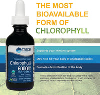 Thumbnail for Trace Minerals Concentrated Ionic Chlorophyll â€“ Liquid Chlorophyll Supplement for Cell Health, Digestive & Energy Support â€“ Immune Support â€“ Gluten-Free, Vegan, Natural Mint â€“ 2 fl oz (120 Servings)