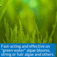 Thumbnail for API ALGAEFIX Algae Control 1.25-Ounce Bottle