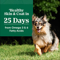 Thumbnail for Nutro Natural Choice Dry Dog Food, Adult Dog Food Dry Lamb and Brown Rice Recipe, 5 lbs.