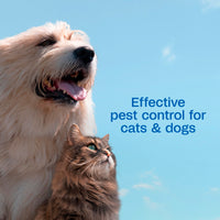 Thumbnail for ADAMS Plus Flea & Tick Shampoo with Precor for Dogs, Cats, Puppies & Kittens, Flea Shampoo to Treat Flea Infestations, Kills Ticks, Fleas, Flea Eggs & Lice, Cleans and Conditions Coat, 12 Ounces