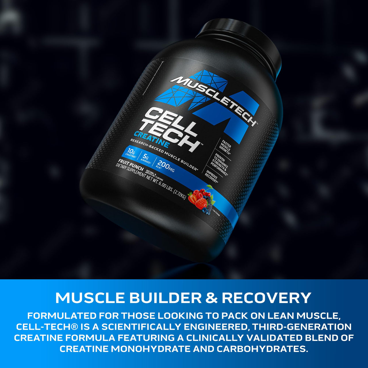 Creatine Monohydrate Powder | MuscleTech Cell-Tech Creatine Powder | Post Workout Recovery Drink | Muscle Builder for Men & Women | Musclebuilding Creatine Supplements | Fruit Punch, 6 lbs (56 Serv)