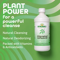 Thumbnail for Dynamic Health Liquid Chlorophyll Unflavored 100 mg, Sodium Copper Chlorophyllins with Alfalfa and Mulberry Leaves, Plant Cleanse and Deodorizing, No Added Sugar, 16 Fl Oz