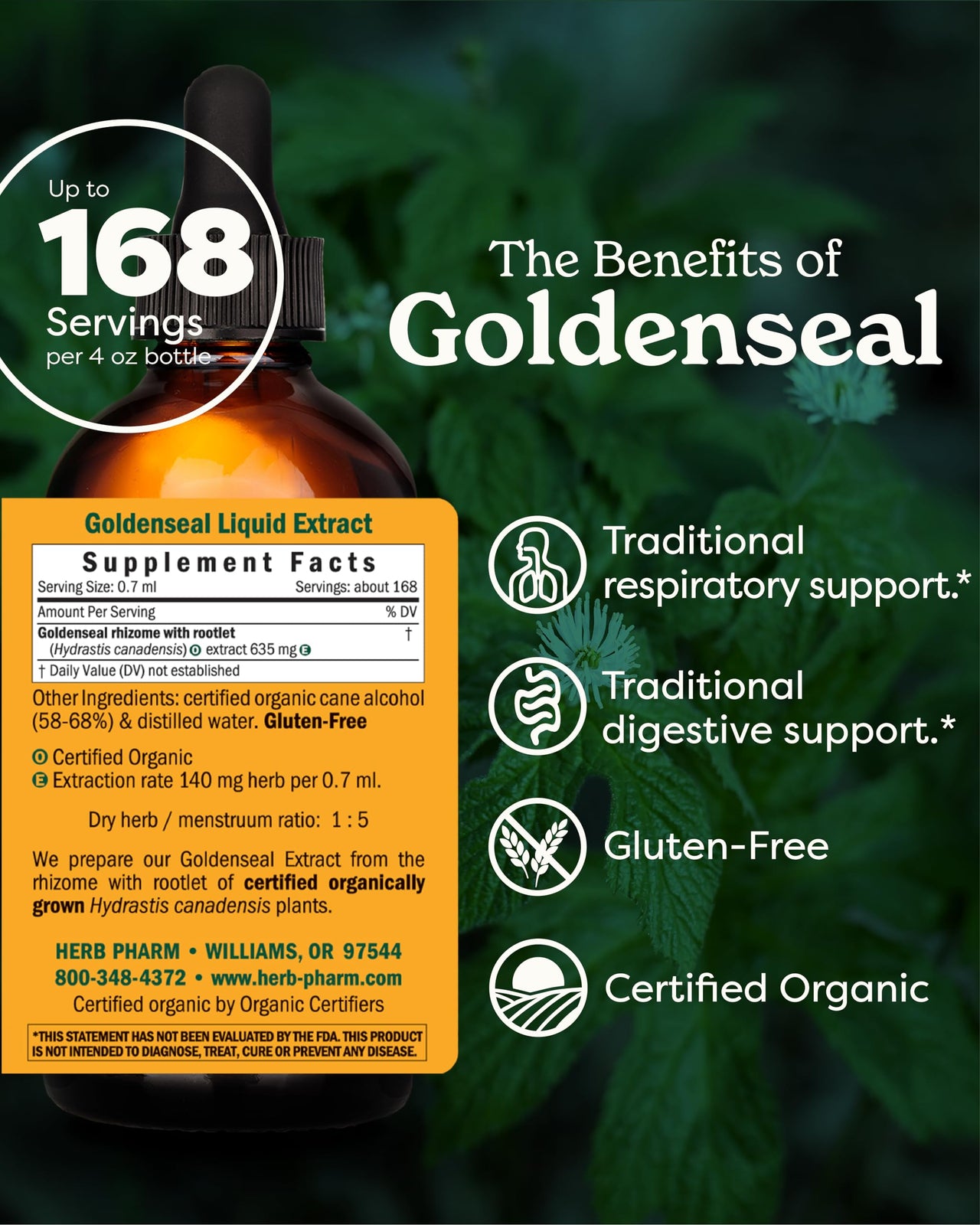 Herb Pharm Certified Organic Goldenseal Liquid Extract for Respiratory System Support - 4 Ounce