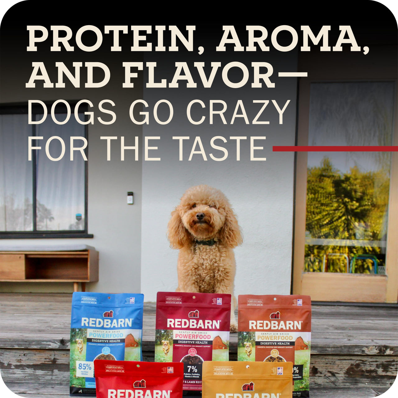 Redbarn Powerfood Air Dried Puppy Food - 93% Chicken & Chicken Organs - High Protein Non-GMO Dry Recipe to Support Healthy Growth, Development, Immunity & Digestive Health for All Breeds - 2lb
