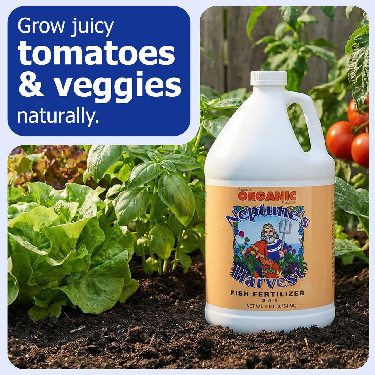Neptune's Harvest Fish Fertilizer (2-4-1) - 1 Gallon Bottle - Organic Liquid Plant Fertilizer - Fish Hydrolysate for Vegetables, Flowers, Fruit, Trees, Grass - Indoor and Outdoor Plant Food