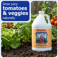Thumbnail for Neptune's Harvest Fish Fertilizer (2-4-1) - 1 Gallon Bottle - Organic Liquid Plant Fertilizer - Fish Hydrolysate for Vegetables, Flowers, Fruit, Trees, Grass - Indoor and Outdoor Plant Food