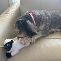 Thumbnail for SPOT Baa Baa Black Sheep Plush Dog Toy - Cute and Cuddly Fleece Toy with Squeaker for Small to Medium Dogs and Puppies, 11in Black and White Lamb