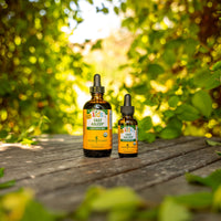 Thumbnail for Herb Pharm Kids Fast Asleep™: Sleep Support Herbal Extract, Sugar-Free, Alcohol-Free, Herbal Supplement for Kids, Nap & Nighttime Support, Non-Bitter, Up to ~528 Servings Per Bottle, 4 oz*