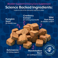 Thumbnail for NaturVet Bladder Support Plus Cranberry for Dogs, 60 ct Soft Chews, Made in The USA with Globally Source Ingredients