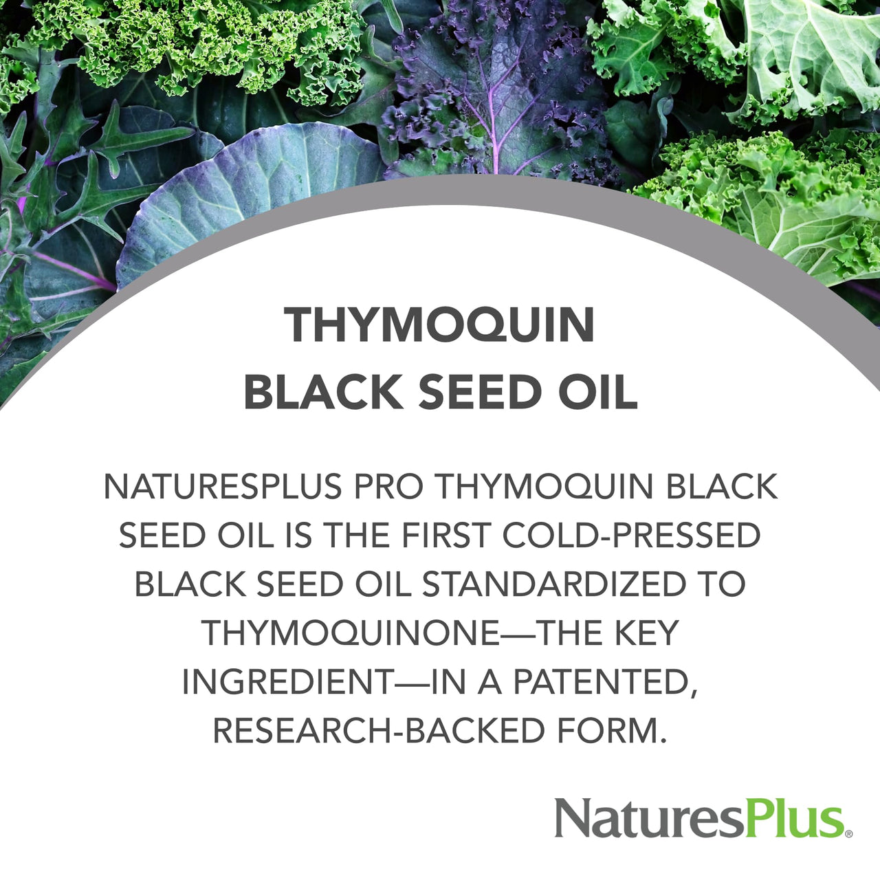 NaturesPlus PRO ThymoQuin Black Seed Oil 500 mg - 60 Softgels - Full-Spectrum, Cold-Pressed Oil - Gluten Free - 60 Servings