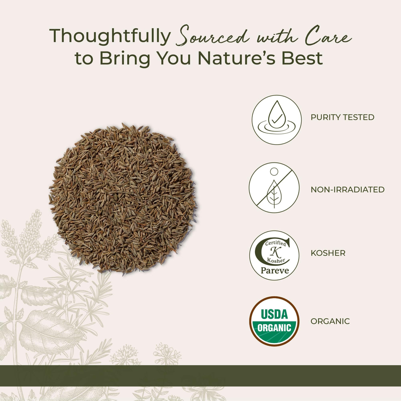 Starwest Botanicals Organic Cumin Seed, 1-pound Bag