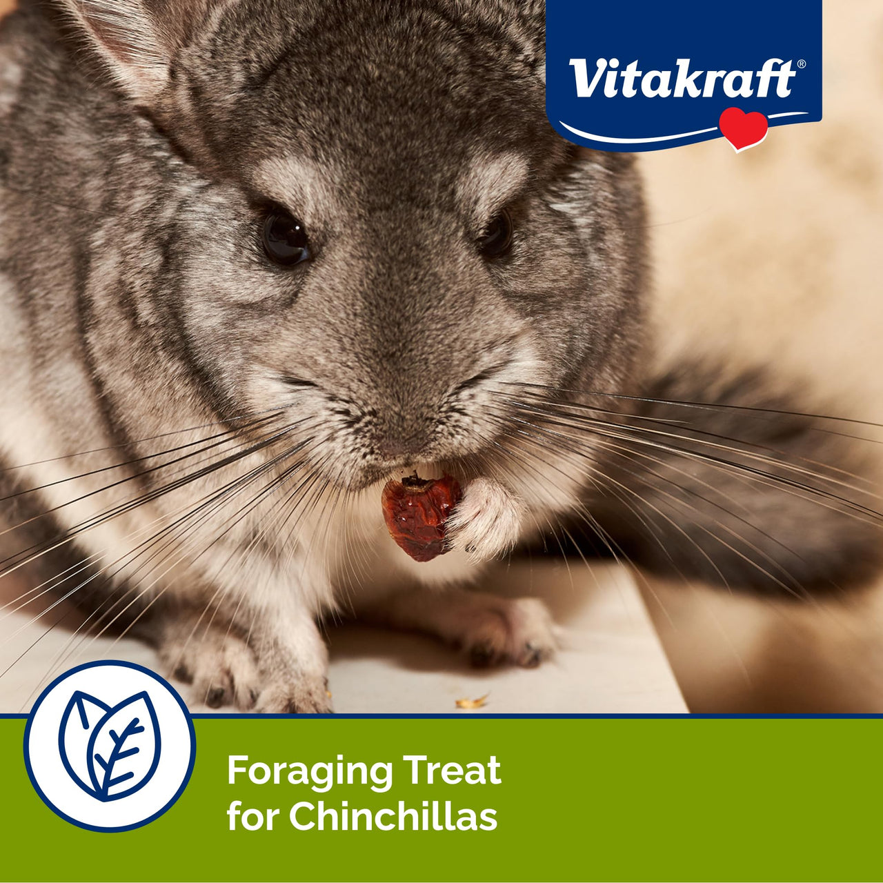 Vitakraft Cocktail Mixed Fruit Chinchilla Treat, 4.5 oz